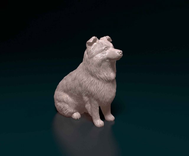 Mini Australian Shepherd Modelo de Impressão 3D .c4d .max .obj .3ds .fbx .stl .blend 