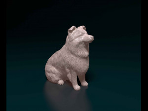 Mini Australian Shepherd 3D Print Model