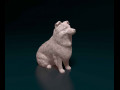Mini Australian Shepherd 3D प्रिंट मॉडल
