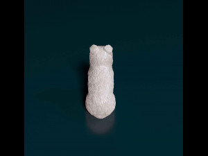 Mini Australian Shepherd Modelo de Impressão 3D