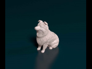 Mini Australian Shepherd Modelo de Impressão 3D