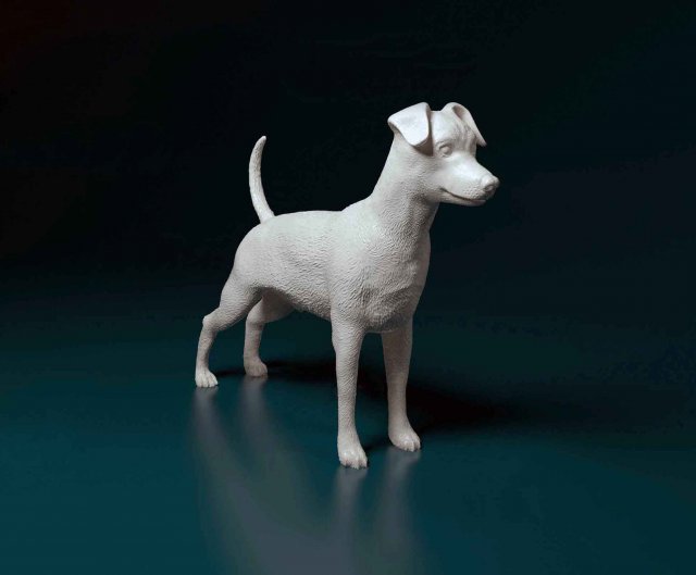 Miniature Pinscher Model do druku 3D .c4d .max .obj .3ds .fbx .stl .blend