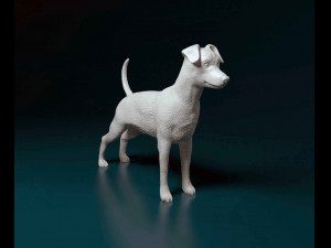 Miniature Pinscher 3D 打印模型