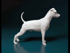 Miniature Pinscher Model do druku 3D