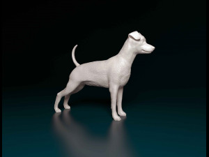 Miniature Pinscher Model do druku 3D