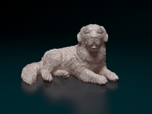 Newfoundland dog 3D Принт Модель