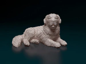 न्यूफाउंडलैंड कुत्ता 3D प्रिंट मॉडल