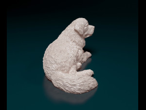Newfoundland dog 3D-printmodel