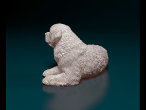 Newfoundland dog 3D-printmodel