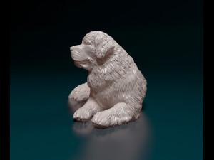 Newfoundland dog 3D-printmodel
