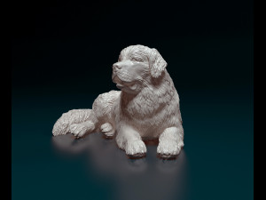 Newfoundland dog 3D-printmodel