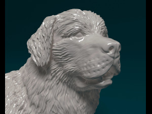 Newfoundland dog 3D-printmodel