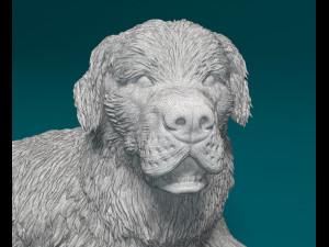 Newfoundland dog 3D-printmodel