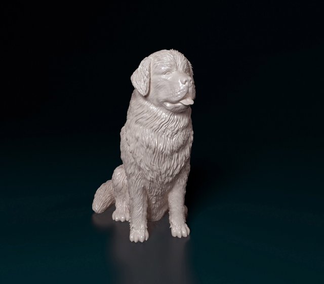Newfoundland sitting 3D-printmodel .c4d .max .obj .3ds .fbx .stl .blend 