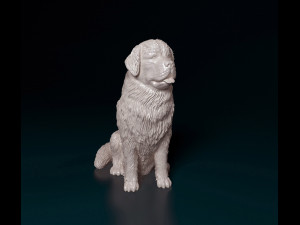 Newfoundland sitting 3D Print Model