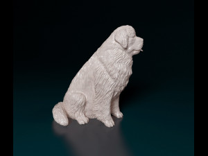 Newfoundland sitting 3D-printmodel