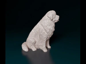 Newfoundland sitting 3D Print Model