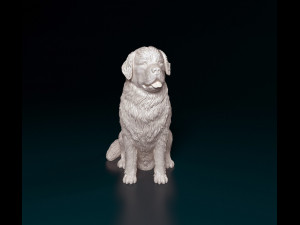 Newfoundland sitting 3D-printmodel