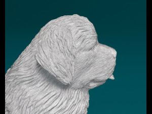 Newfoundland sitting 3D-printmodel