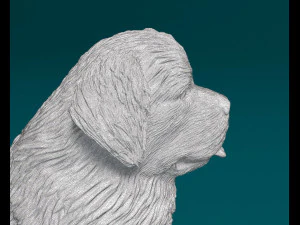 Newfoundland sitting 3D Print Model