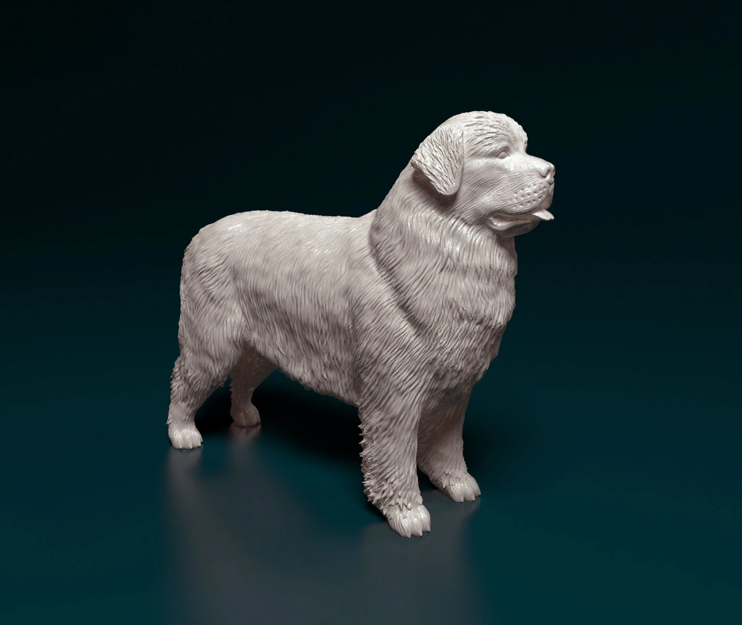 Newfoundland 3D Print Model .c4d .max .obj .3ds .fbx .stl .blend 