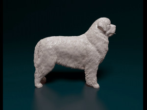Newfoundland Modello di stampa 3D