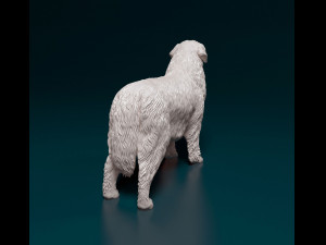Newfoundland Modello di stampa 3D