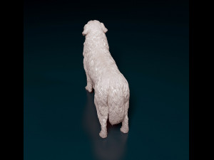 Newfoundland Modello di stampa 3D