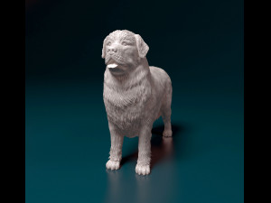 Newfoundland Modello di stampa 3D