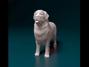 Newfoundland 3D Print Model