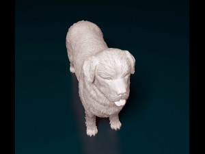 Newfoundland Modello di stampa 3D