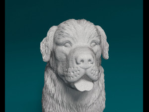 Newfoundland Modello di stampa 3D