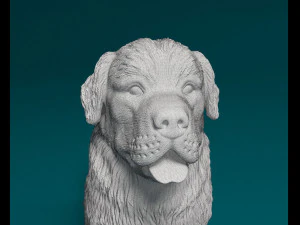 Newfoundland 3D Print Model