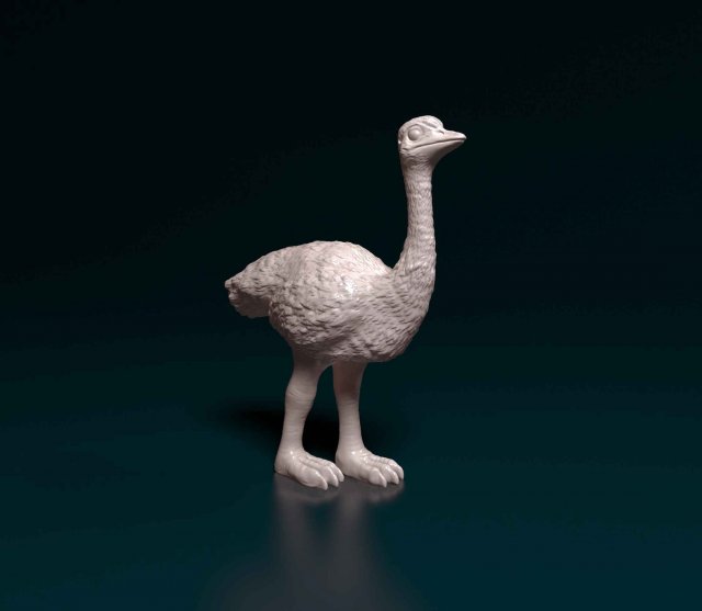 Ostrich 3D प्रिंट मॉडल .c4d .max .obj .3ds .fbx .stl .blend 