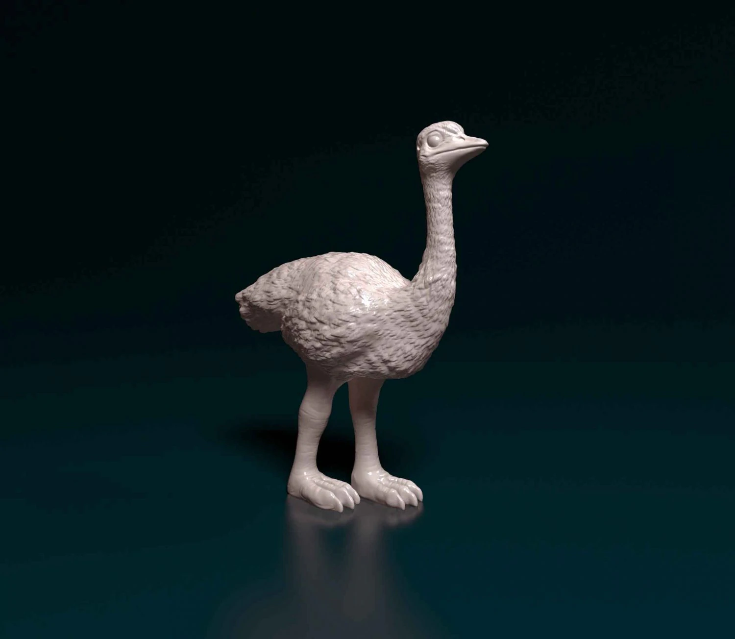 Ostrich 3D Print Model .c4d .max .obj .3ds .fbx .stl .blend 