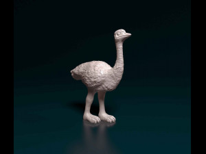 Ostrich 3D Print Model