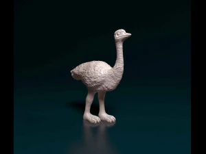 타조 3D 프린트 모델