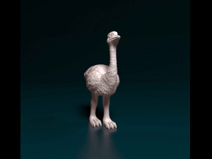 Ostrich 3D प्रिंट मॉडल