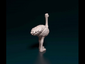 Ostrich 3D प्रिंट मॉडल