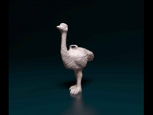 Ostrich 3D प्रिंट मॉडल