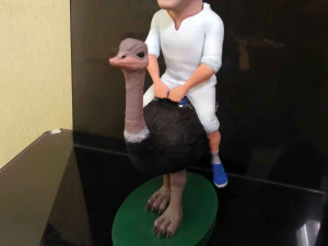 Ostrich 3D Print Model