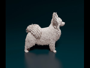 Papillon dog Modèles 3D en vedette