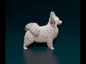 Papillon dog 3D Print Model