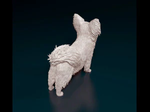 Papillon dog 3D Print Model