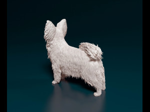 Papillon dog Modèles 3D en vedette