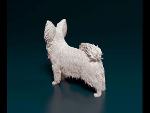 Papillon dog 3D Print Model