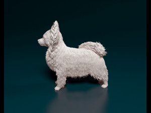 Papillon dog Modèles 3D en vedette