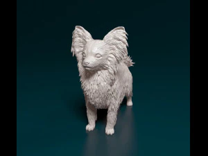 Papillon dog 3D Print Model