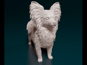 Papillon dog Modèles 3D en vedette