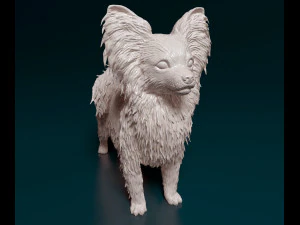 Papillon dog 3D Print Model